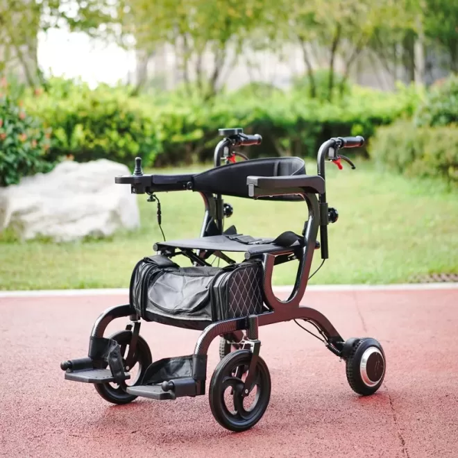 Multifunctional Electric Walking Aid Market Growth 2025-2030: Aging Population & Independent Living Demand